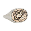 Load image into Gallery viewer, Wild Horses Ring