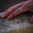 Load image into Gallery viewer, Scorpion Signet Ring