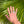 Load image into Gallery viewer, Palm Tree Signet Ring
