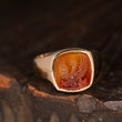 Load image into Gallery viewer, Phoenix Ring