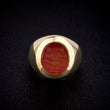 Load image into Gallery viewer, Tiger Signet Ring - One of a Kind