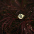 Load image into Gallery viewer, Scorpion Signet Ring