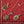 Load image into Gallery viewer, Bleeding Heart Souvenir Necklace
