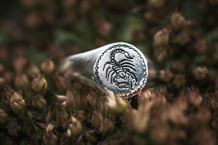 Scorpion Signet Ring